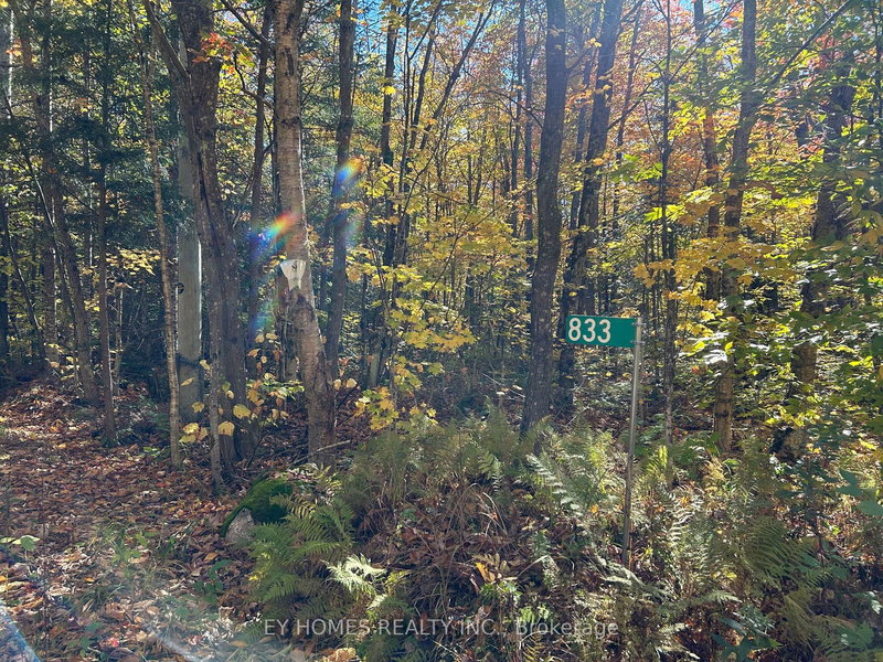 833 HAMILTON LAKE Rd, Machar, P0A 1X0 | Image 2