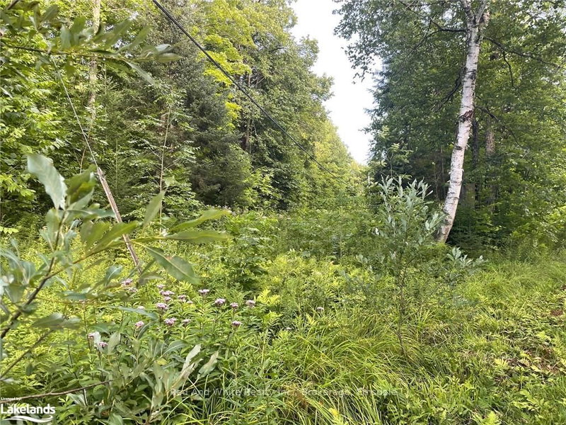 285 CHAPMAN Dr, Magnetawan, P0A 1P0 | Image 2