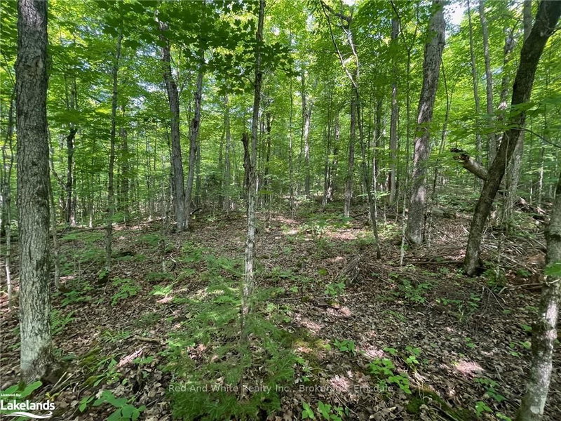 285 CHAPMAN Dr, Magnetawan, P0A 1P0 | Image 3