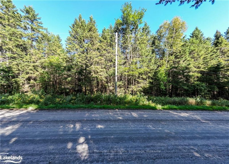 LOT 3 STONEY Rd, Armour, P0A 1C0 | Image 3