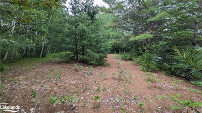  HIGHWAY 28, Bancroft -  image-0-3