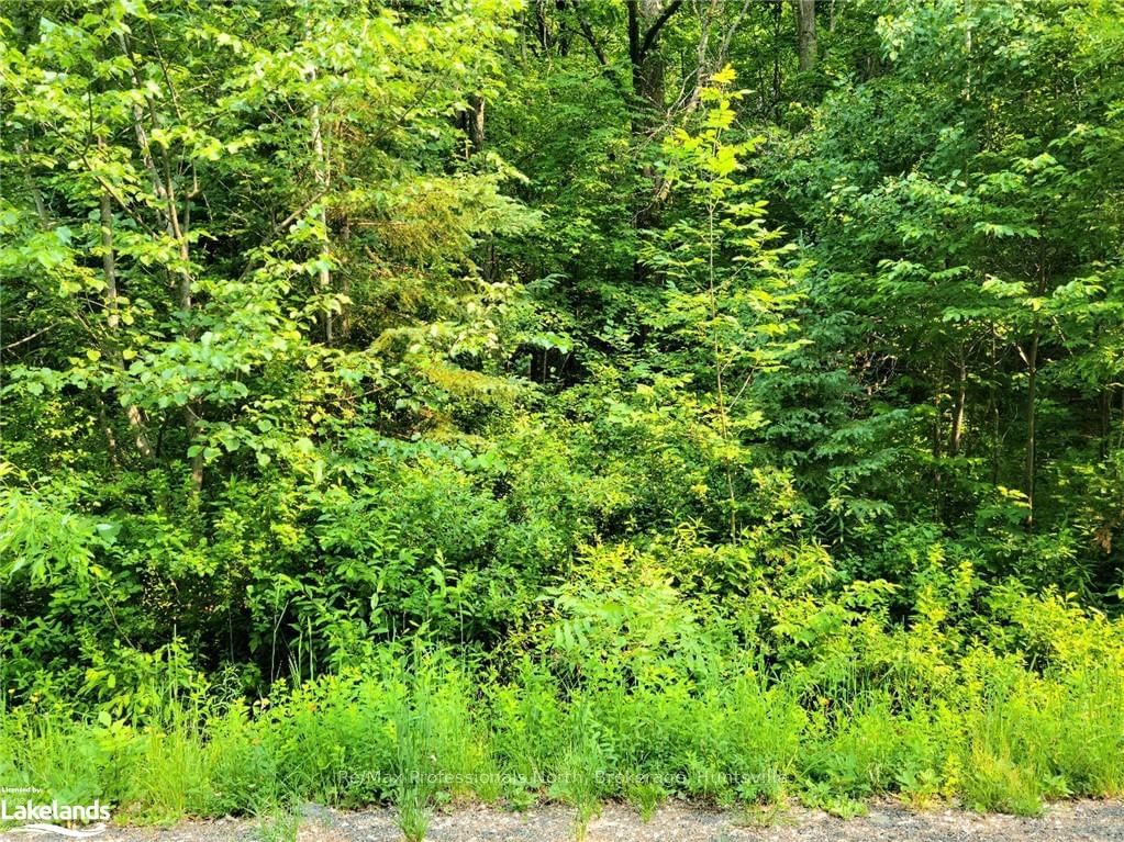 Vacant Land for sale at 19-26 MOUNT VERNON Trail, Huntsville, Chaffey, P1H 1E3 - MLS: X10895200