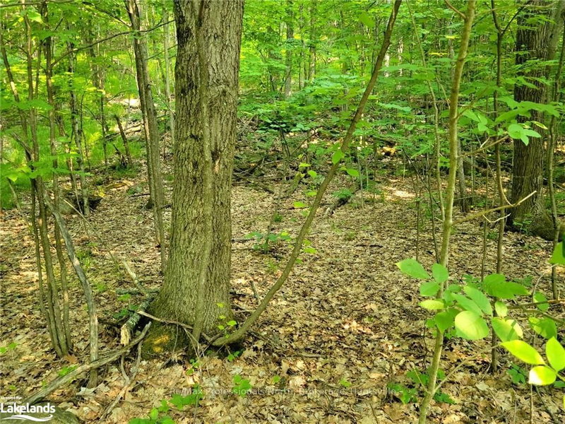 19 - 26 MOUNT VERNON Tr, Huntsville, P1H 1E3 | Image 3