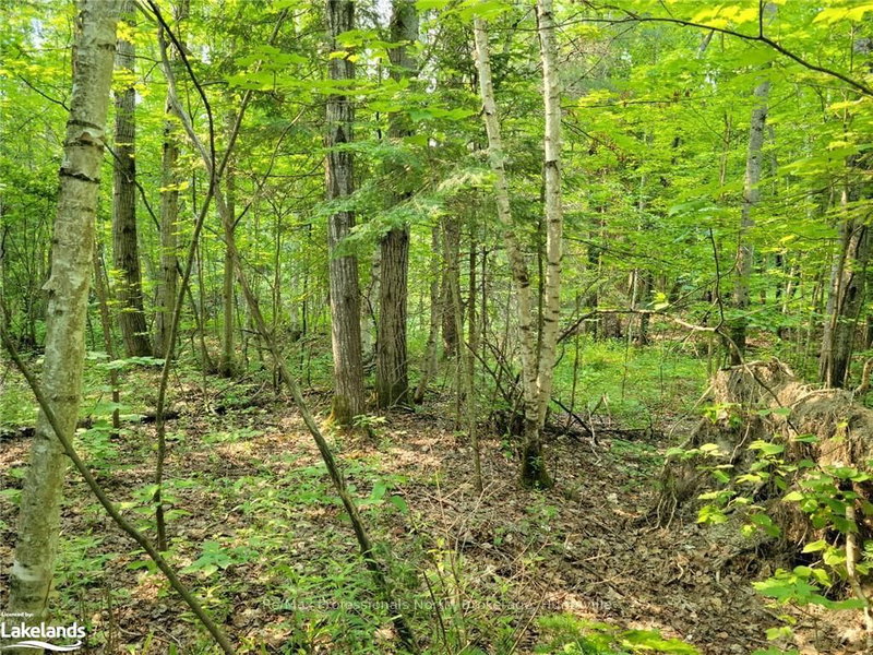 29 - 29 MOUNT VERNON Tr, Huntsville, P1H 1E3 | Image 3