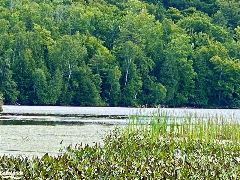 22-A MAPLE Dr, Parry Sound, Unorganized District - Wilson image-0-0
