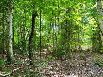 22-A MAPLE Dr, Parry Sound, Unorganized District - Wilson image-0-4