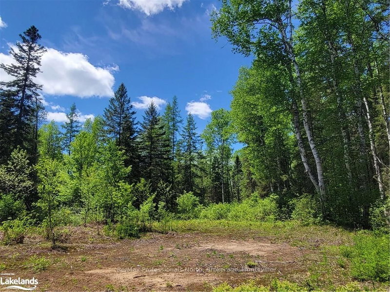 0 DUFFERIN St, South River, P0A 1X0 | Image 3