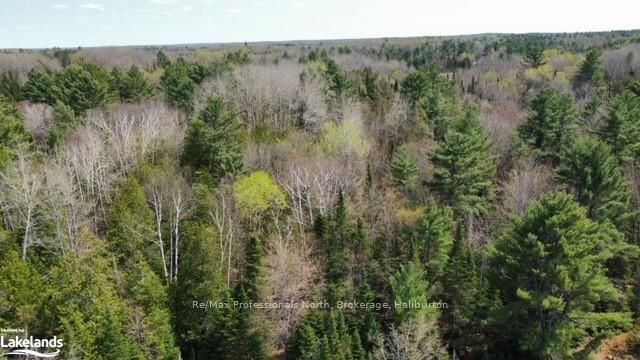 0 BOBCAYGEON Rd, Minden Hills, K0M 2K0 | Image 3