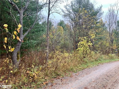 LOT 1 UNNAMED Road — more photos