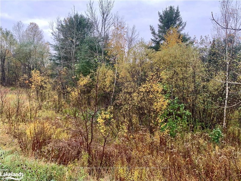 LOT 2 MOORE Dr, Whitestone, P0A 1G0 | Image 3