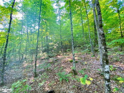842 SEAGULL LAKE Rd, Parry Sound Remote Area - Arnstein image-0-4