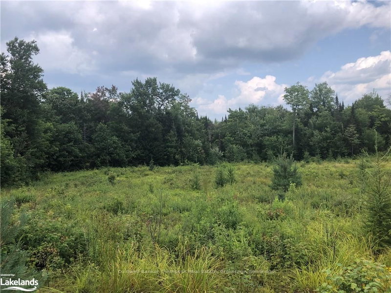 522 ALBERT St N, Strong, P0A 1Z0 | Image 3