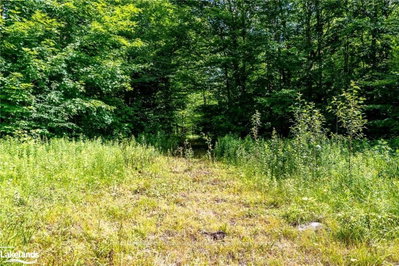 0 SKYLINE Drive — photo 6