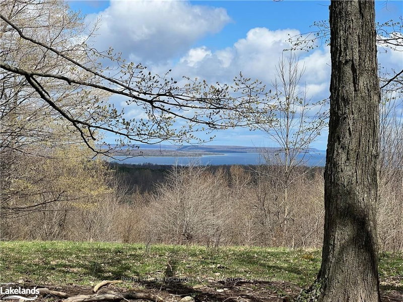 125 GRAHAM'S HILL Rd, Georgian Bluffs, N0H 2T0 | Image 3