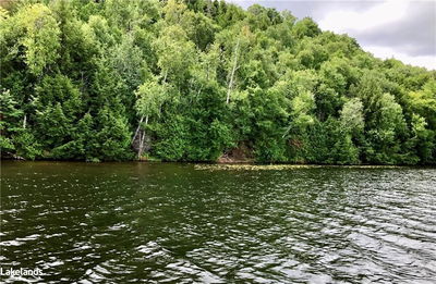 LOT 13 LITTLE LONG, Parry Sound, Unorganized District - Port Loring image-0-1