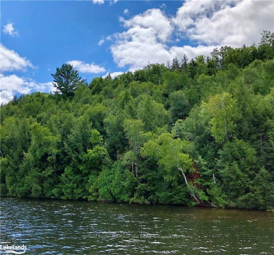 LOT 13 LITTLE LONG, Parry Sound, Unorganized District - Port Loring image-0-2