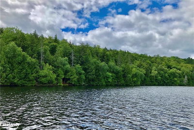 LOT 13 LITTLE LONG, Parry Sound, Unorganized District - Port Loring image-0-4