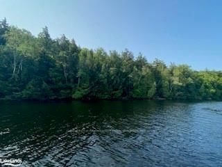LOT 11A LITTLE LONG, Parry Sound, Unorganized District - Port Loring image-0-2
