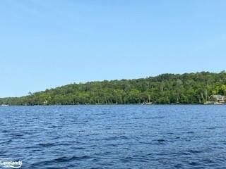 LOT11-B LITTLE LONG, Parry Sound, Unorganized District - Port Loring image-0-4