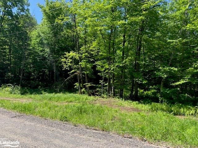 60 SUMMER LEIGH Trail