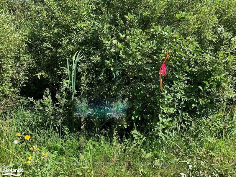 Part 1 MONTEE BRAZEAU Rd, St. Charles -  image-0-0