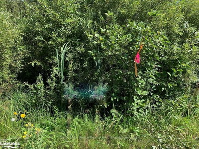 Part 1 MONTEE BRAZEAU Rd, St. Charles - 