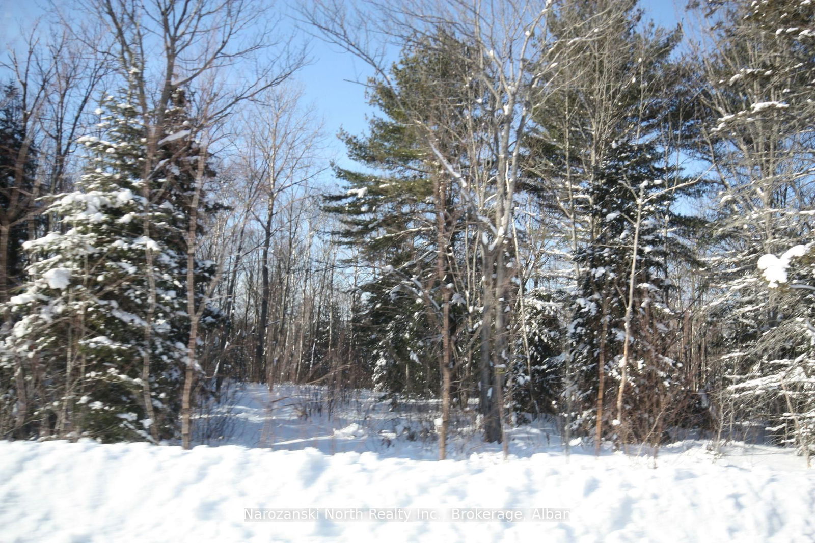 Vacant Land for sale at Part 2 MONTEE BRAZEAU Road, St. Charles, P0M 2W0 - MLS: X10897586