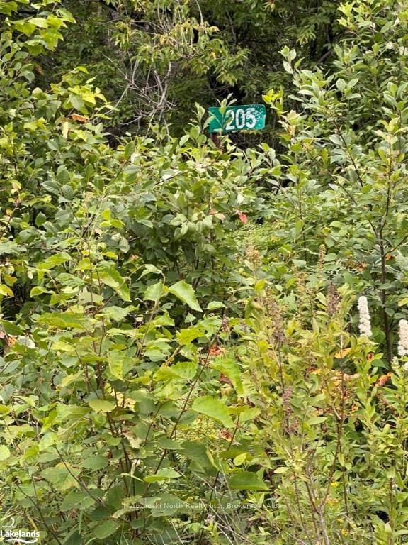 Vacant Land for sale at Part 2 MONTEE BRAZEAU Road, St. Charles, P0M 2W0 - MLS: X10897586