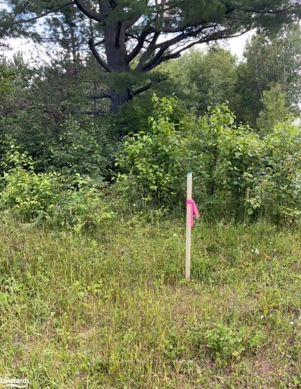 Vacant Land for sale at Part 2 MONTEE BRAZEAU Road, St. Charles, P0M 2W0 - MLS: X10897586