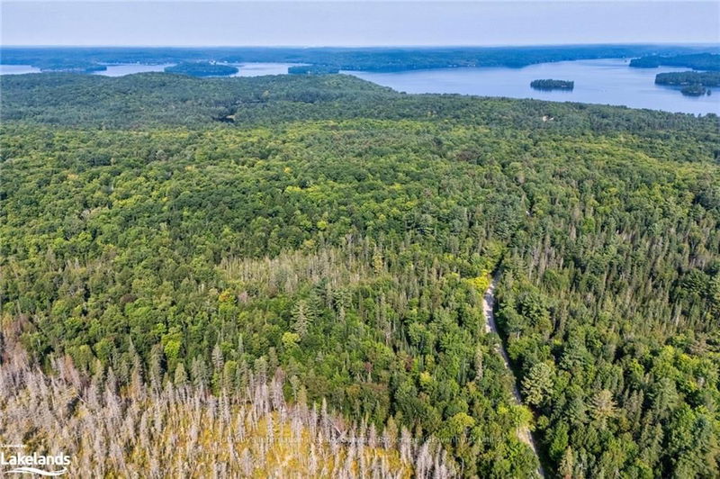 1045 BROWNS BRAE Rd, Lake of Bays - Ridout image-0-0
