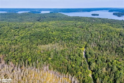 1045 BROWNS BRAE Rd, Lake of Bays - Ridout