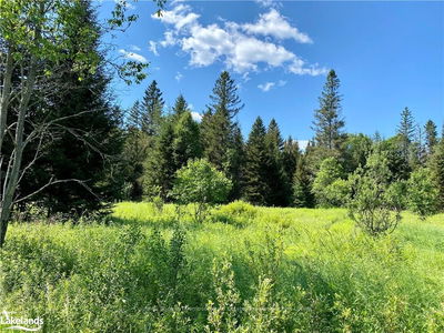 CONCESSION ROAD 10 AND 11, Parry Sound, Unorganized District - Arnstein