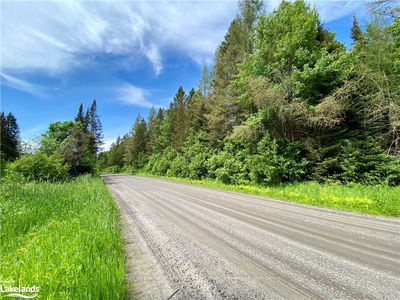  CONCESSION ROAD 10 AND 11, Parry Sound, Unorganized District - Arnstein image-0-4