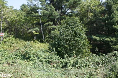 LOT 6 RIVERVIEW Dr, French River -  image-0-3
