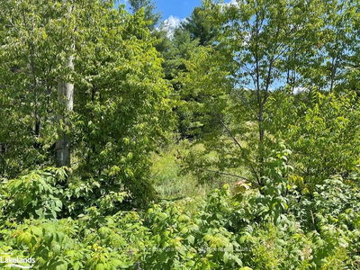 LOT 6 RIVERVIEW Dr, French River -  image-0-4
