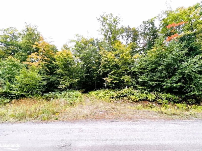 75 GRANITE Dr, Huntsville, P0A 1R0 | Image 2