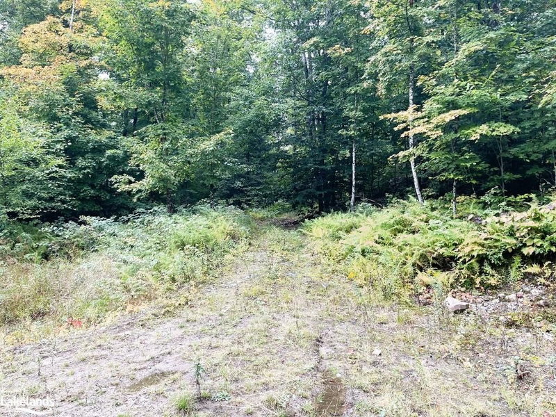 75 GRANITE Dr, Huntsville, P0A 1R0 | Image 3