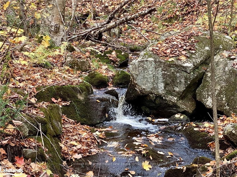 0 BROWN Lane, Parry Sound Remote Area, P0H 1S0 | Image 3