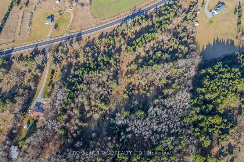 0 County 25 Rd, Cramahe, K0K 1M0 | Image 3