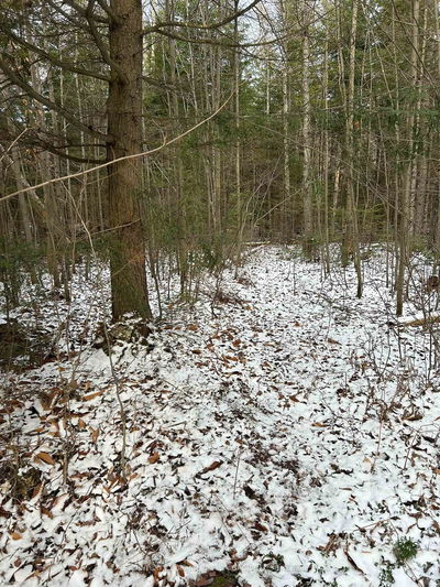 Madawaska Rd, Maynooth - McClure Ward image-0-4
