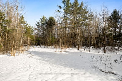 3886 Stonecrest Rd, Constance Bay - Dunrobin - Kilmaurs - Woodlawn - 9303 - Dunrobin image-0-4