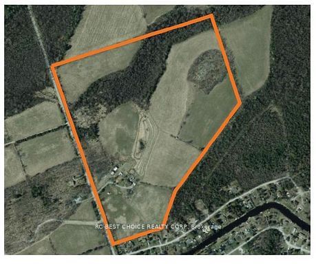 571 Hickory Beach Rd, Kawartha Lakes, K0M 1N0 | Image 3