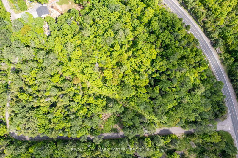 00 Johnson Rd, North Kawartha, K0L 1A0 | Image 3