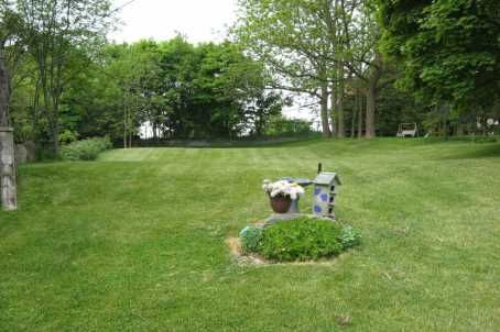 34 Crozier St, East Luther Grand Valley, L0B1G0 | Image 2