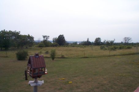 505 Scotch Line Rd, Kawartha Lakes, K0M1L0 | Image 3