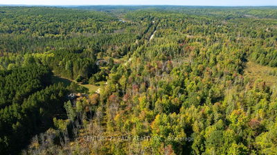 00 DORE BAY Rd, North Algona Wilberforce - 561 - North Algona/Wilberforce Twp image-0-4