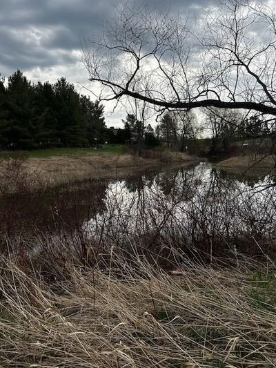 207 CONCESSION ROAD 2, Saugeen Shores - Saugeen Shores image-0-3