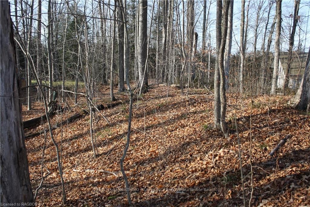 Vacant Land sold at PART LOT 1 DORENA Crescent, South Bruce Peninsula, N0H 2G0 - MLS: X11822808