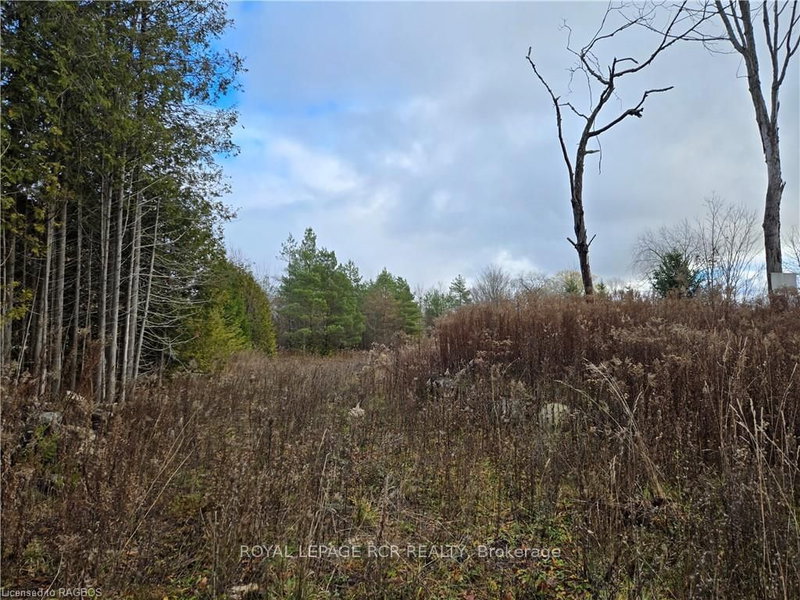 PTLT8ES SALTER St, Chatsworth, N0H 2V0 | Image 2