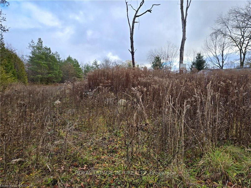 PTLT8ES SALTER St, Chatsworth, N0H 2V0 | Image 3